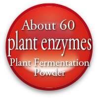 plant enzymes