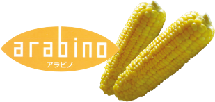 Arabino contain150mg