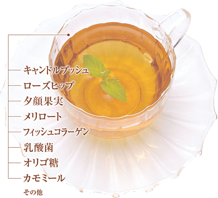 aramel Detoc Herb Tea Proht