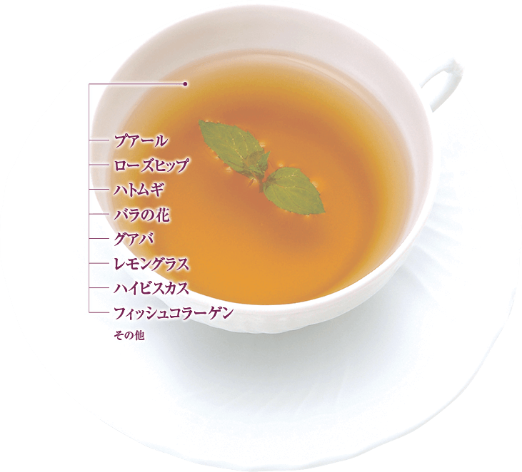 collagenfacial Herb Tea Proht