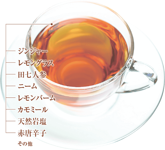 hotspicy Herb Tea Proht
